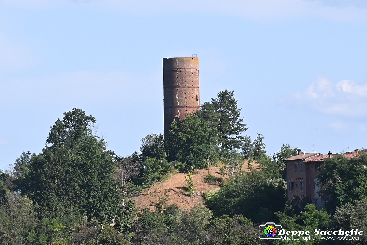 VBS_4730 - Il bosco fatato - Montaldo Roero.jpg